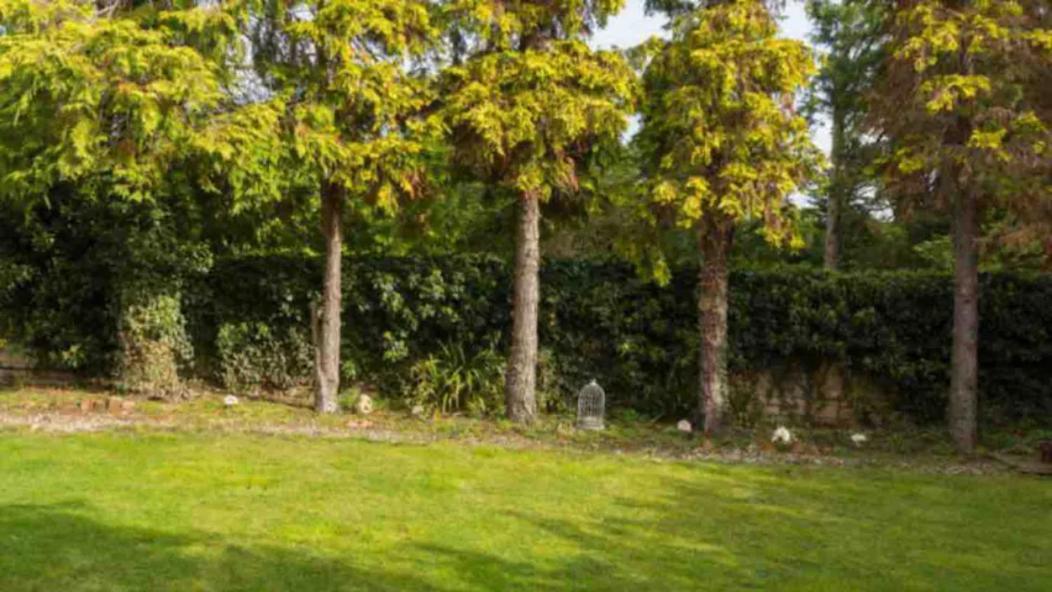 Piglet Cottage Pebworth Exterior photo