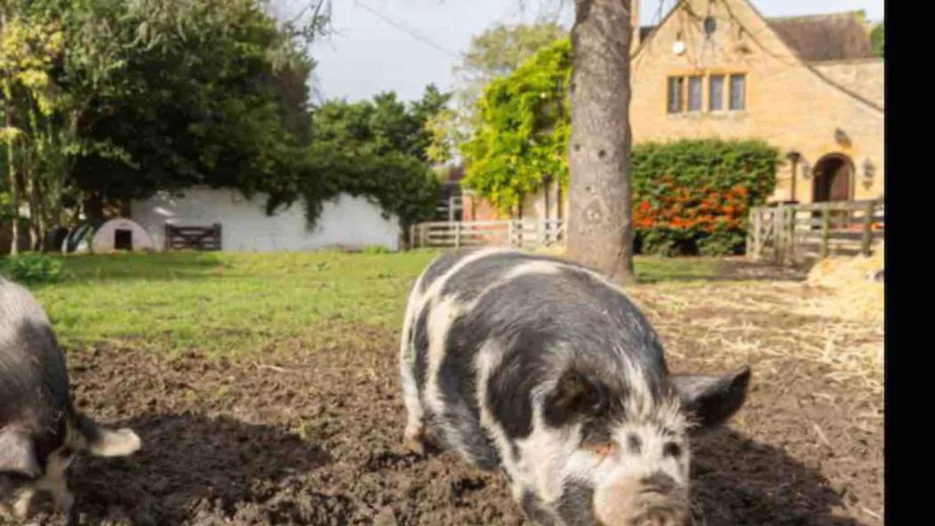 Piglet Cottage Pebworth Exterior photo