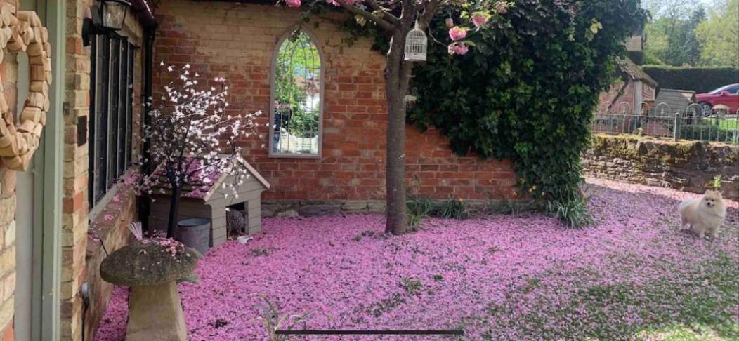 Piglet Cottage Pebworth Exterior photo
